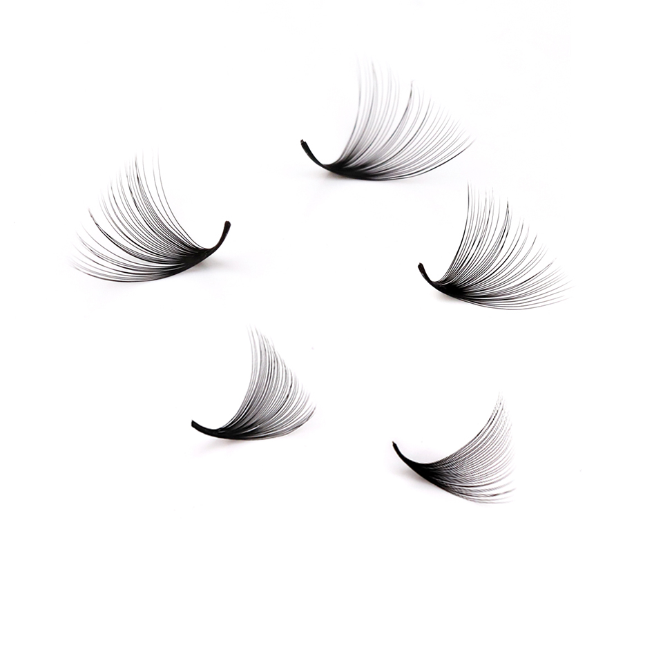 Lashprofessor XL Tray Pestañas - Eyelash Extension Review reseña y precio