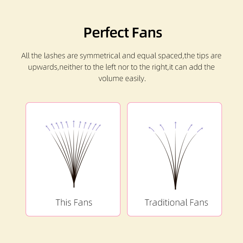 Lashprofessor XL Tray Pestañas - Eyelash Extension Review reseña y precio