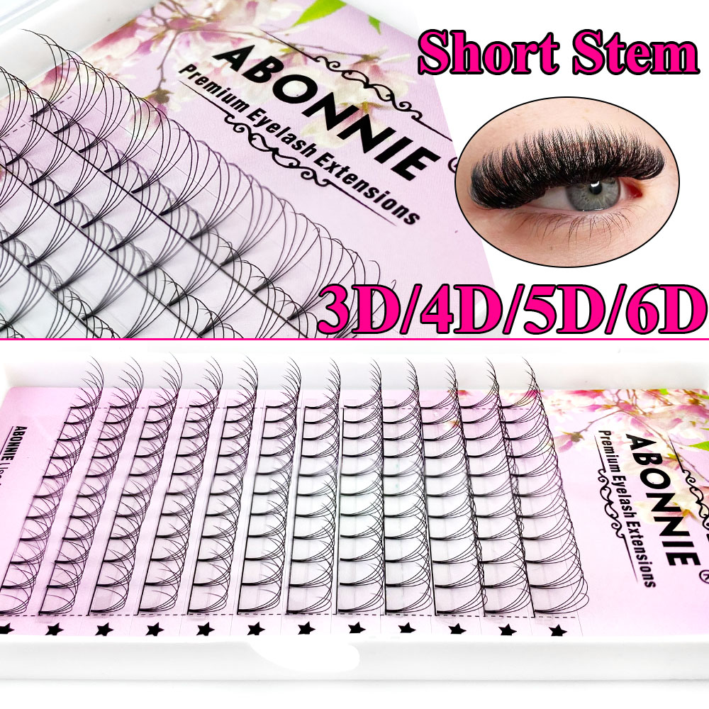 Abonnie 6D Abanicos Preformado - Eyelash Extension Review reseña y precio